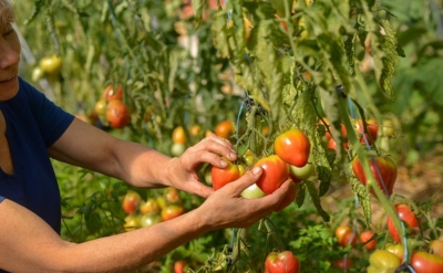  La filière agriculture et agroalimentaire