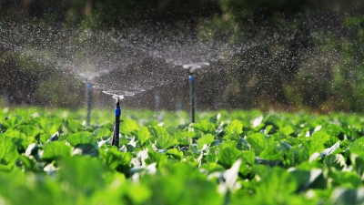 L’importance de l'agriculture durable