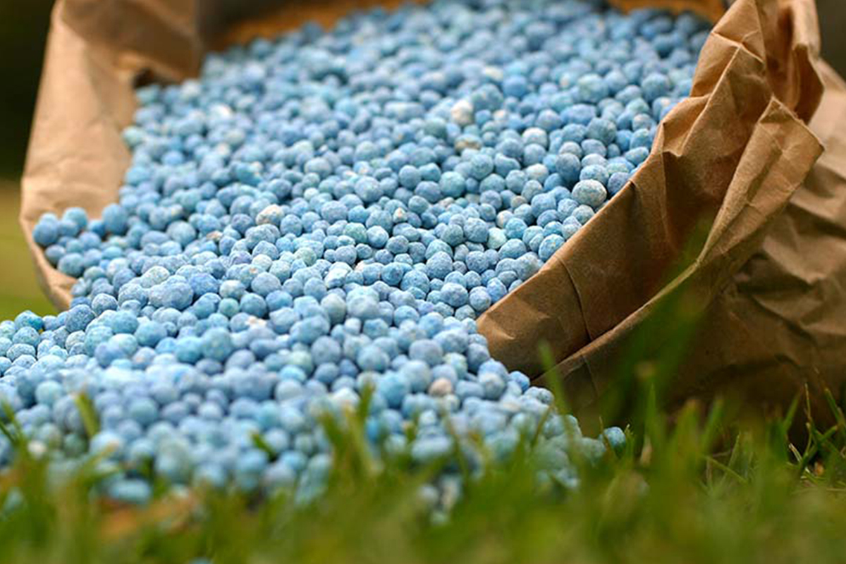Fertilisants