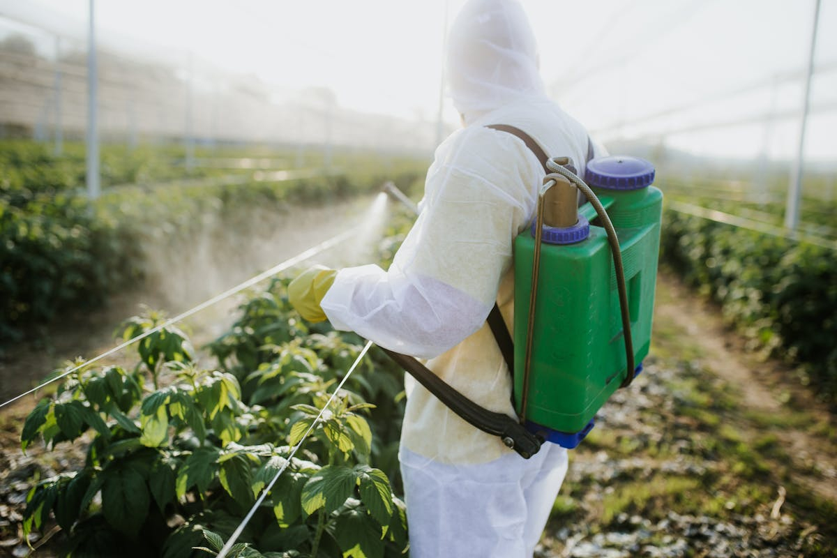  Pesticides